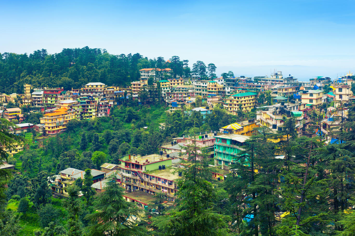 mcleodganj bir tour package