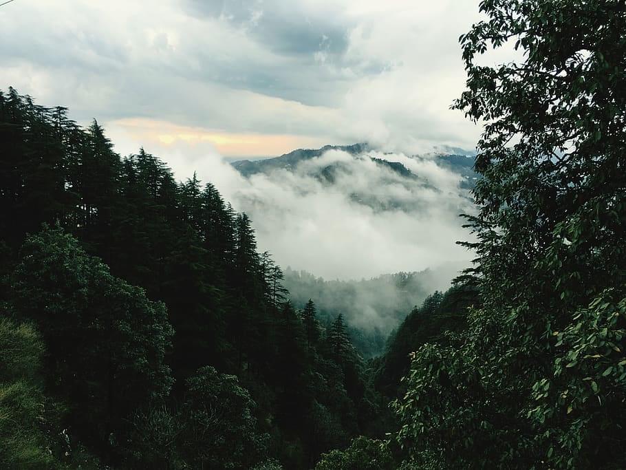 Mesmerizing view from clouds-end in Mussoorie