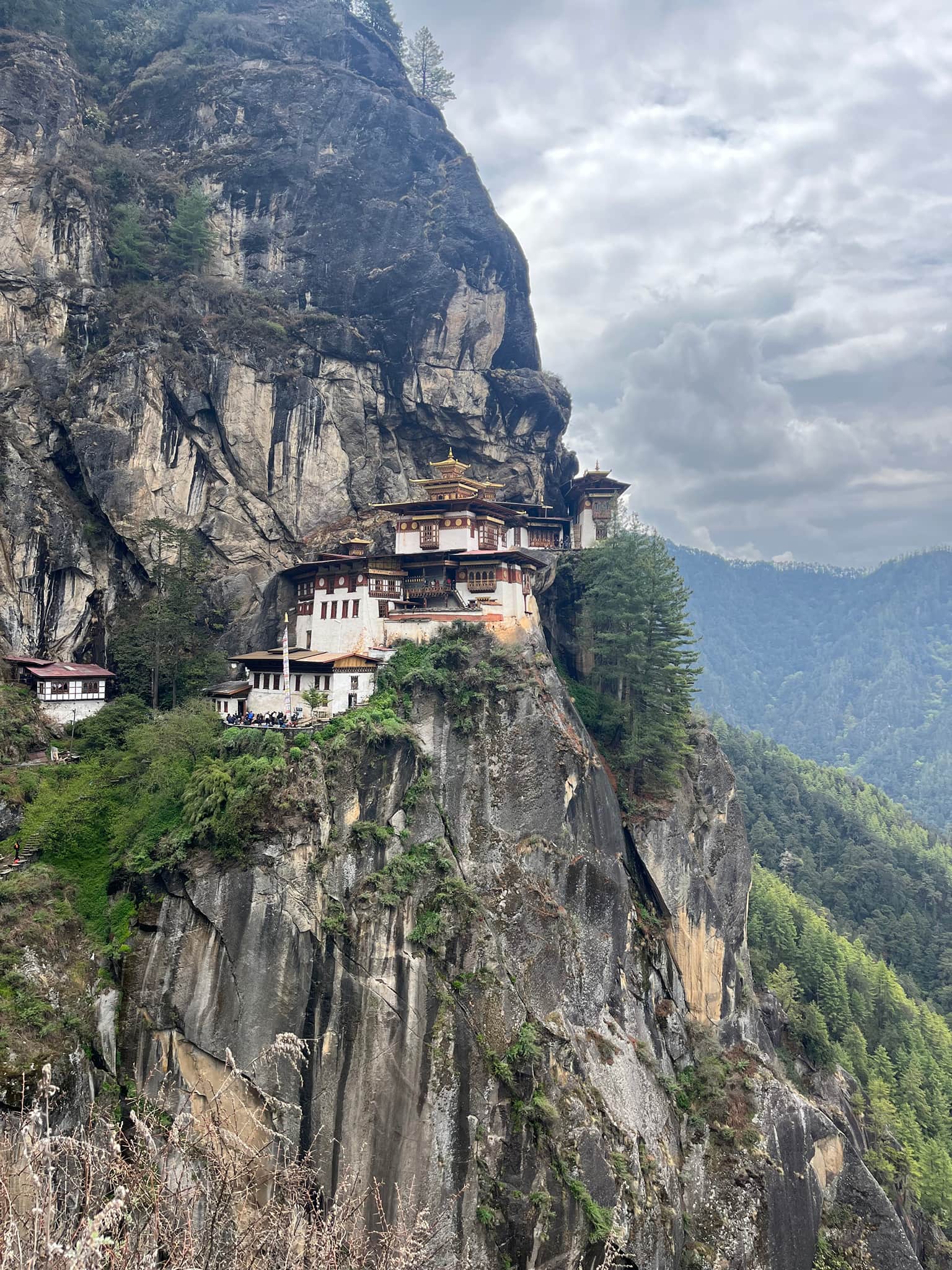 Photo from Nisha Ms's trip