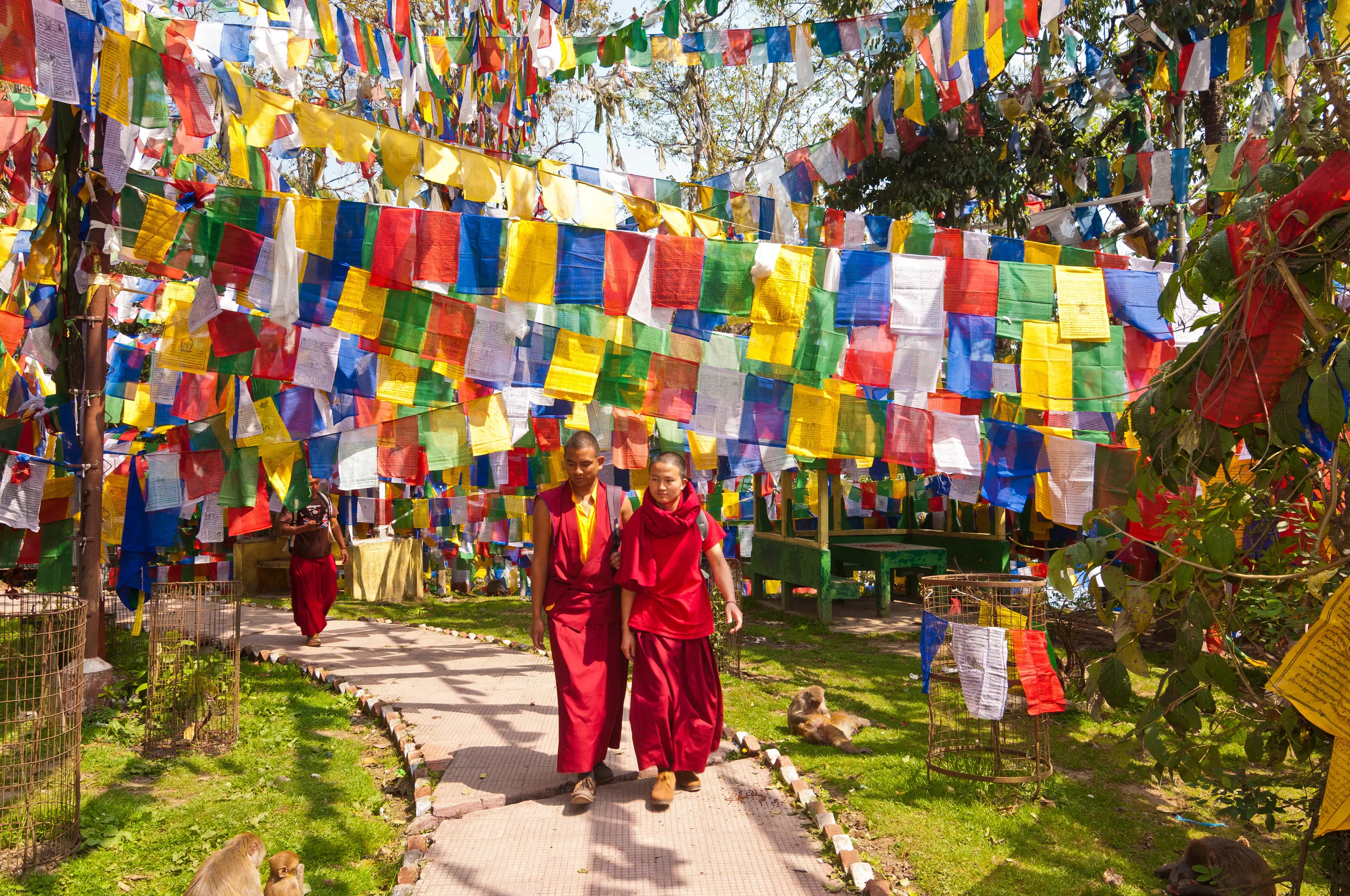 Darjeeling Tours 
