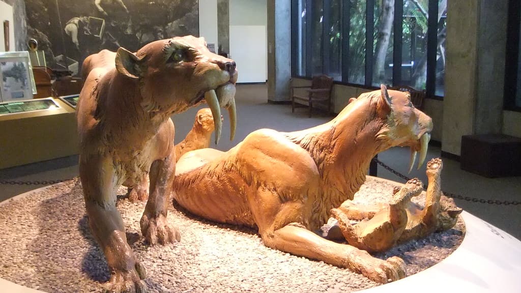 La Brea Tar Pits Tickets Image