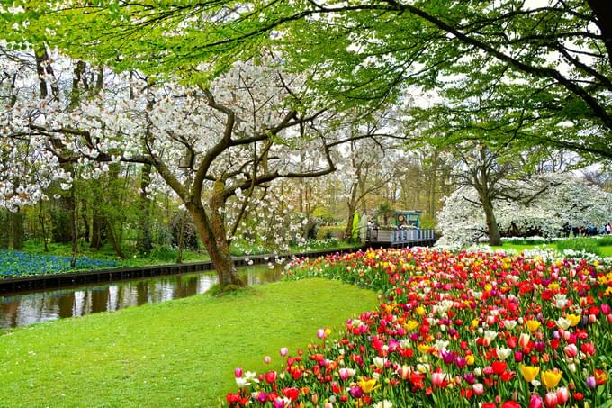 Animal Meadow For Kids in Garden of Europe