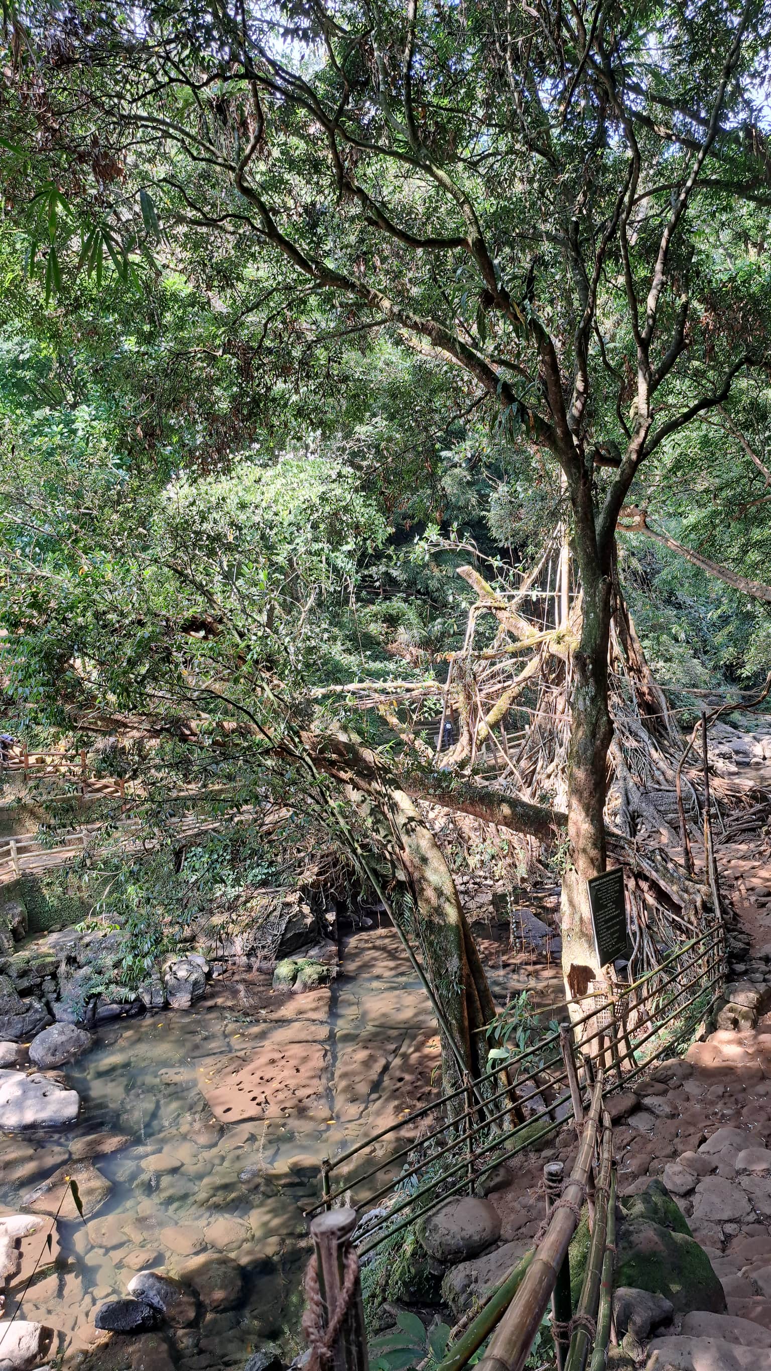 Photo from Abi Luis's trip
