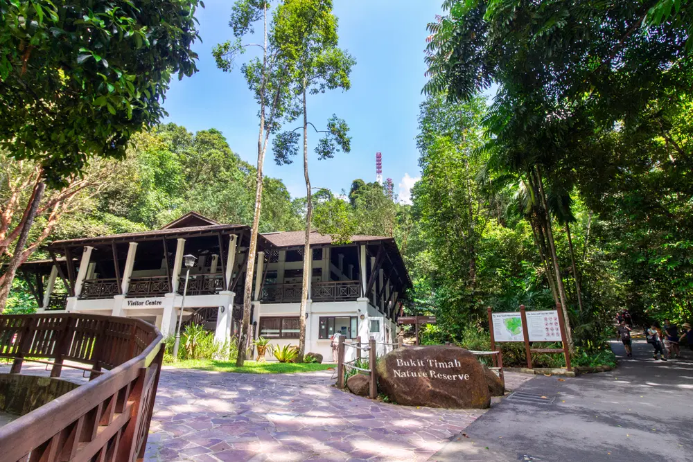 Bukit Timah Nature Reserve, <em>Singapore</em>