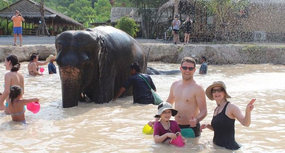 Experience Elephant Care in Phuket Image
