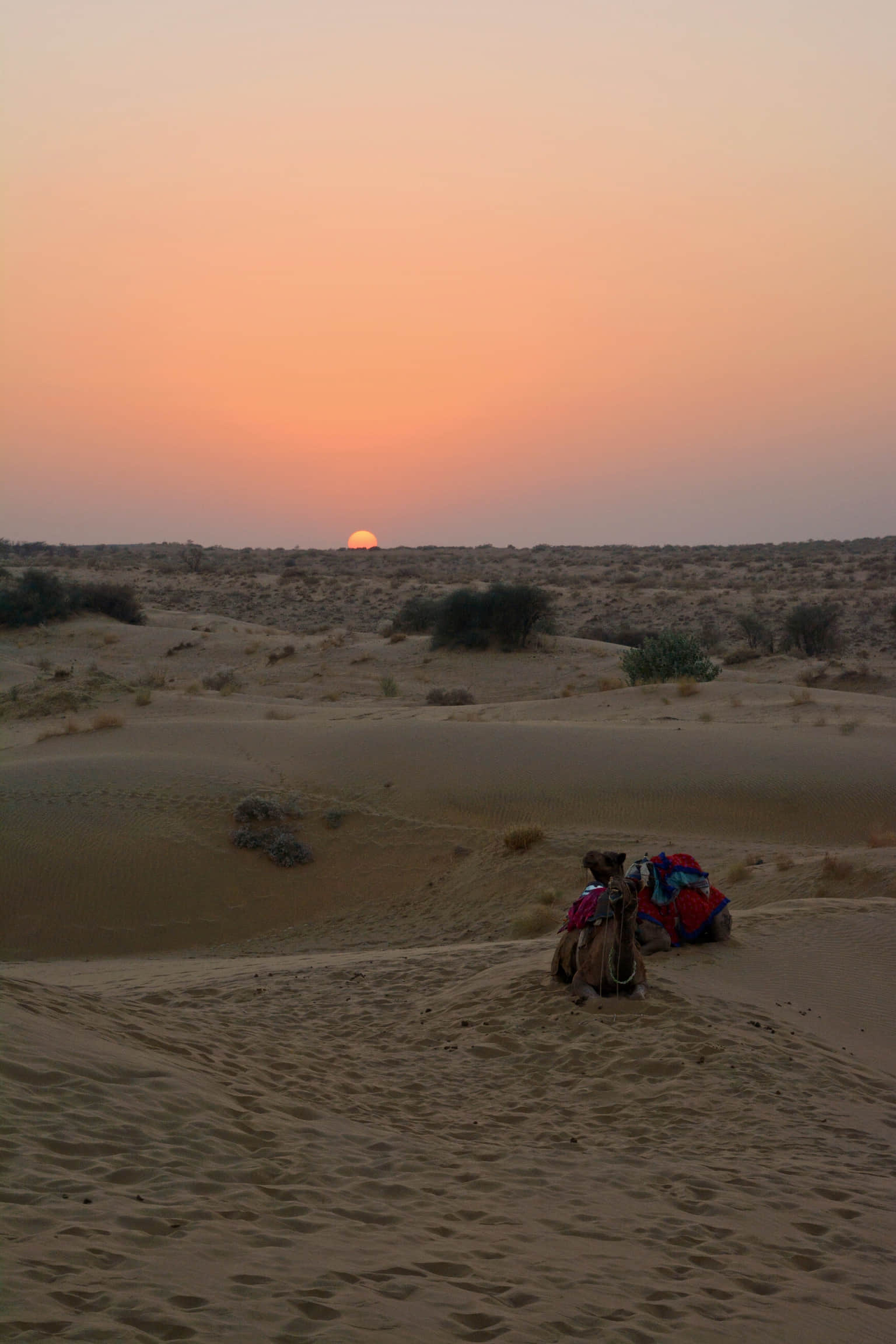Photo from Neha Singh's trip