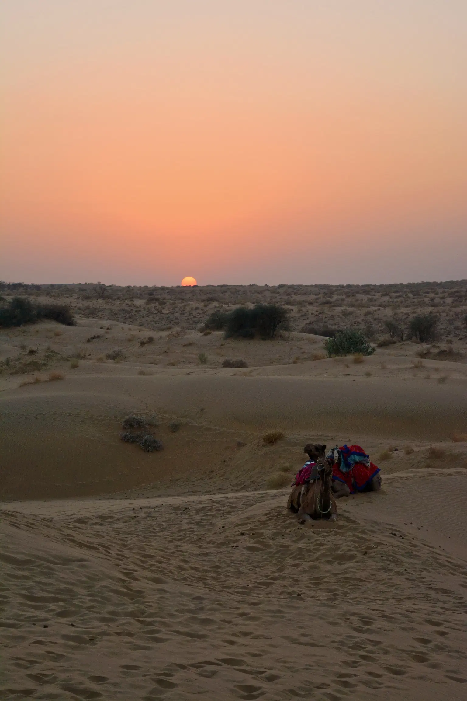 Photo from Neha Singh's trip