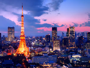 Get a bird's-eye view of this stunning city from Tokyo Tower