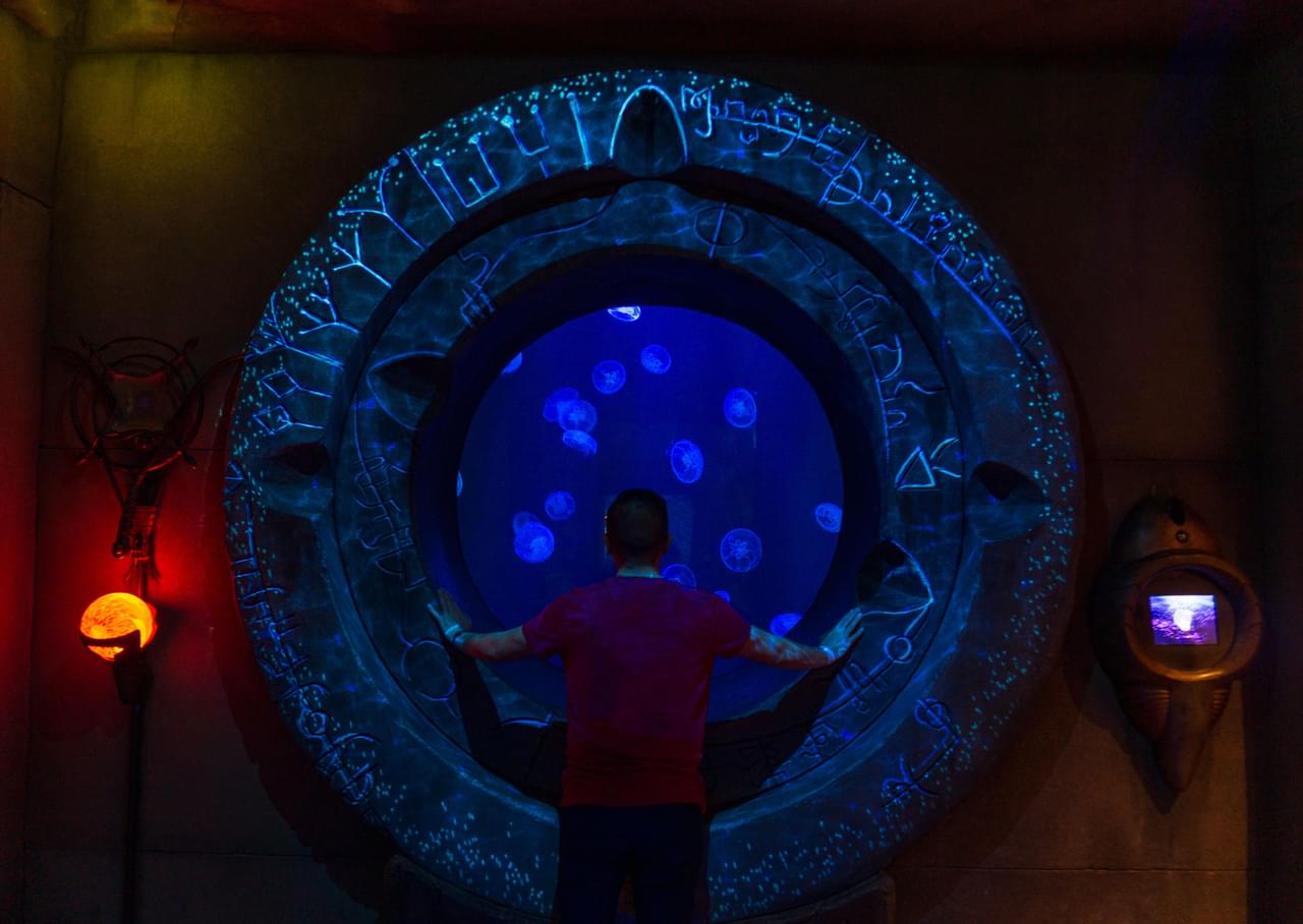 Lost Chambers Aquarium