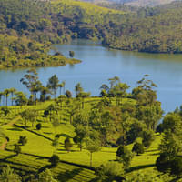 kerala-tour-package-from-trichy