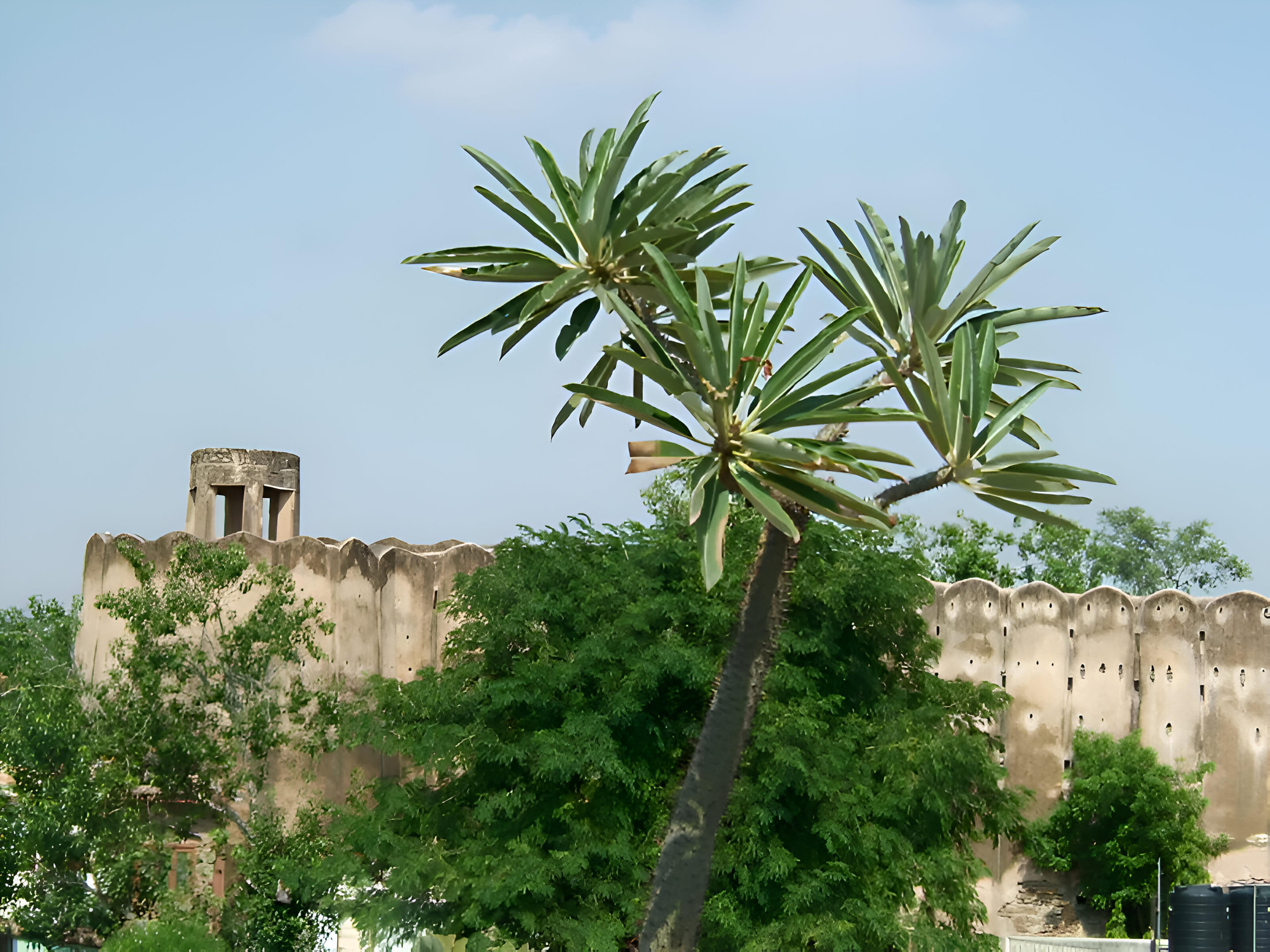 Hathroi Fort  Overview