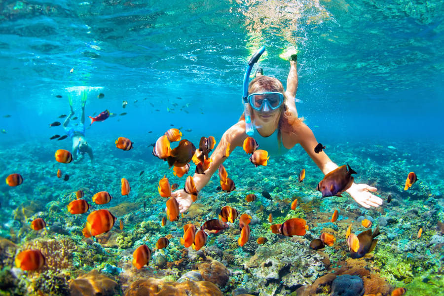 Snorkeling in Coral Island Phuket Image