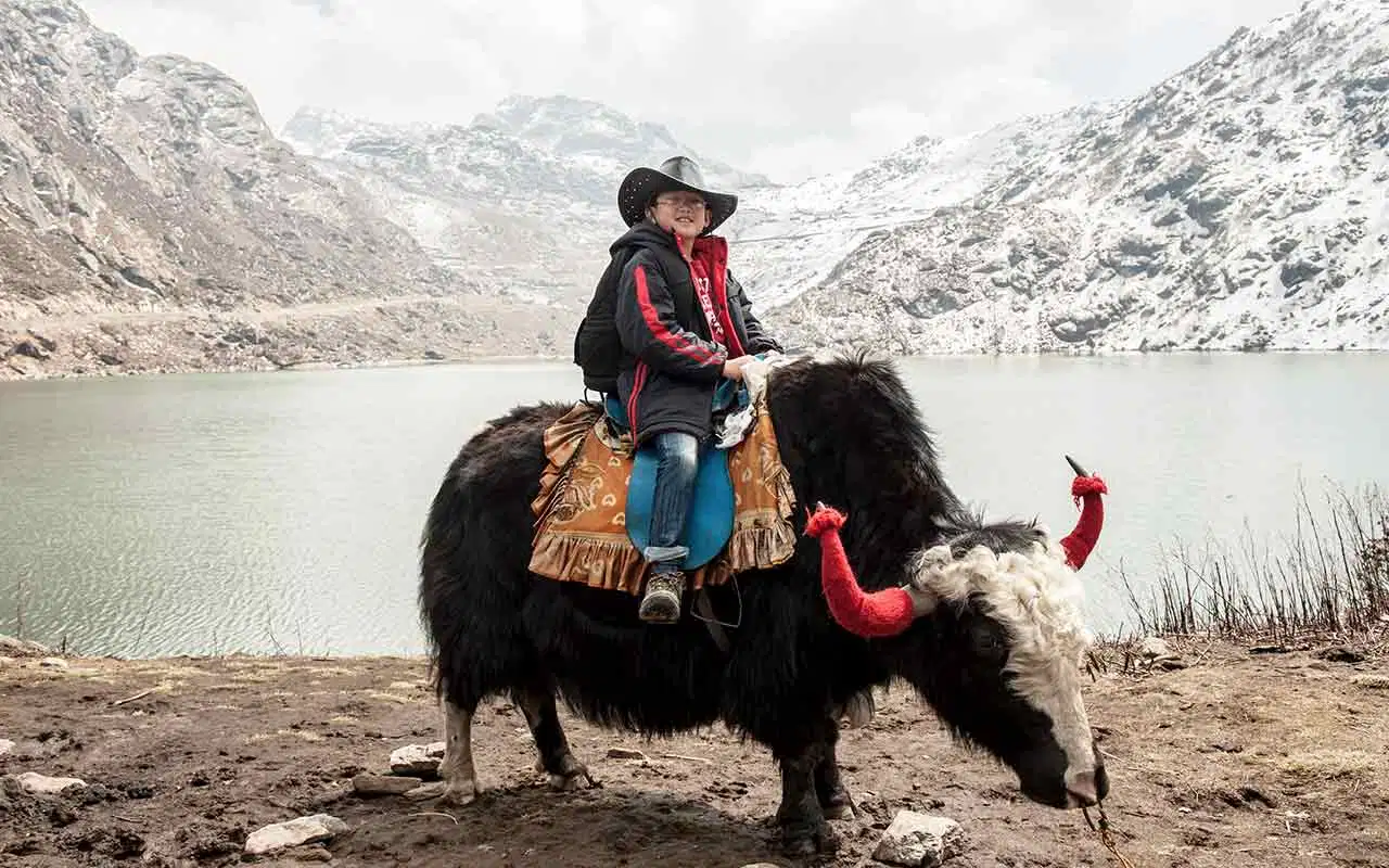 Getaway to Sikkim with FREE Yak Ride