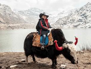 A joyful ride of colorful yaks at Tsomgo Lake