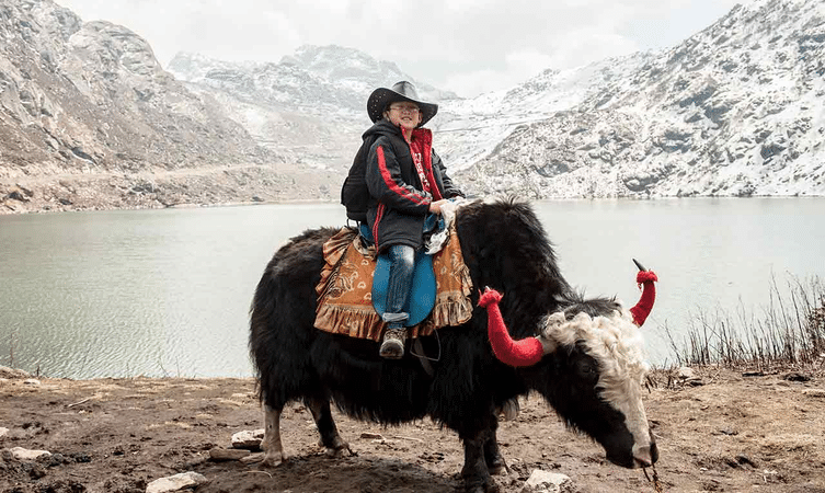 A joyful ride of colorful yaks at Tsomgo Lake