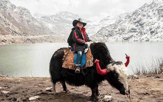 A joyful ride of colorful yaks at Tsomgo Lake