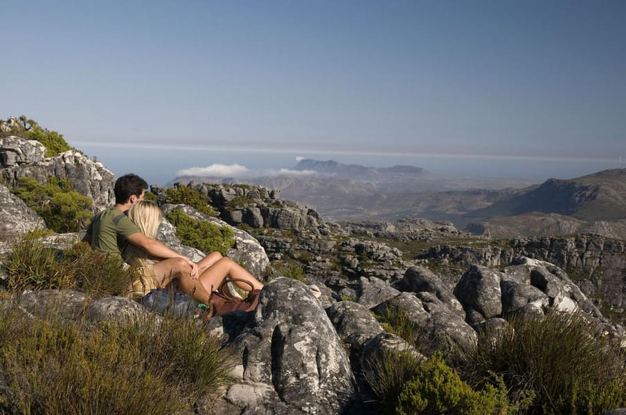 South Africa Honeymoon Special Image