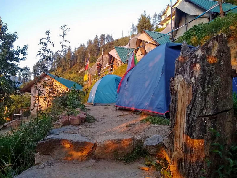 Mountain View Camping In Narkanda Image