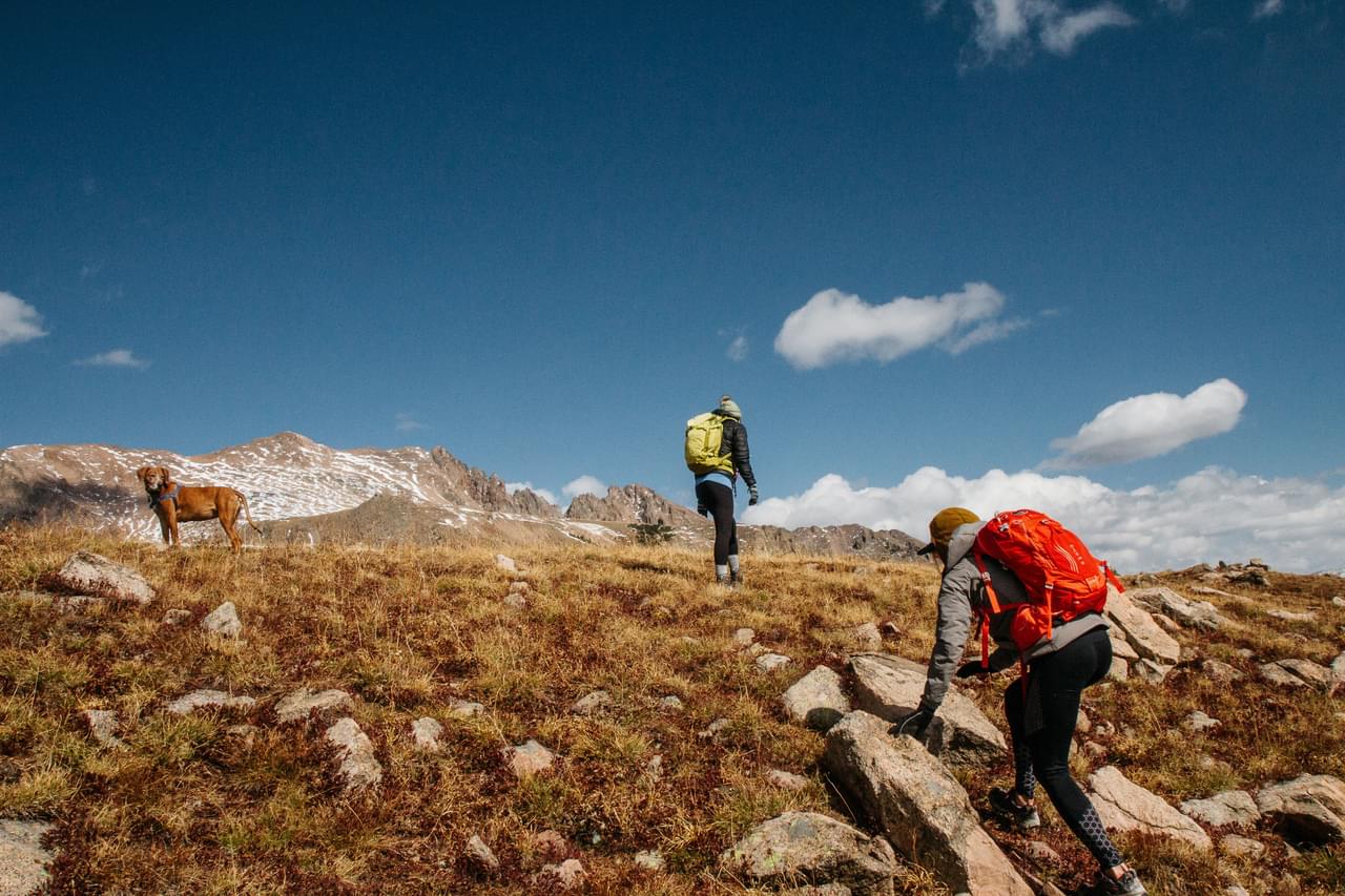 Kutla Trek