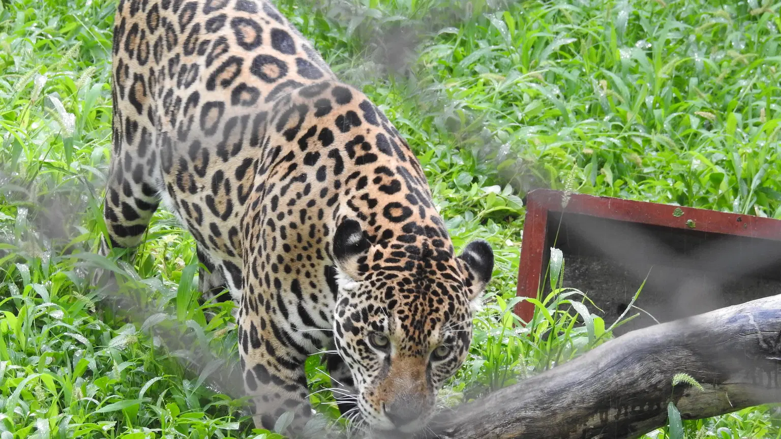 Zoological Park