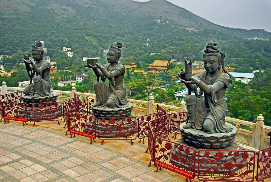 Lantau Island Sightseeing Tour Image