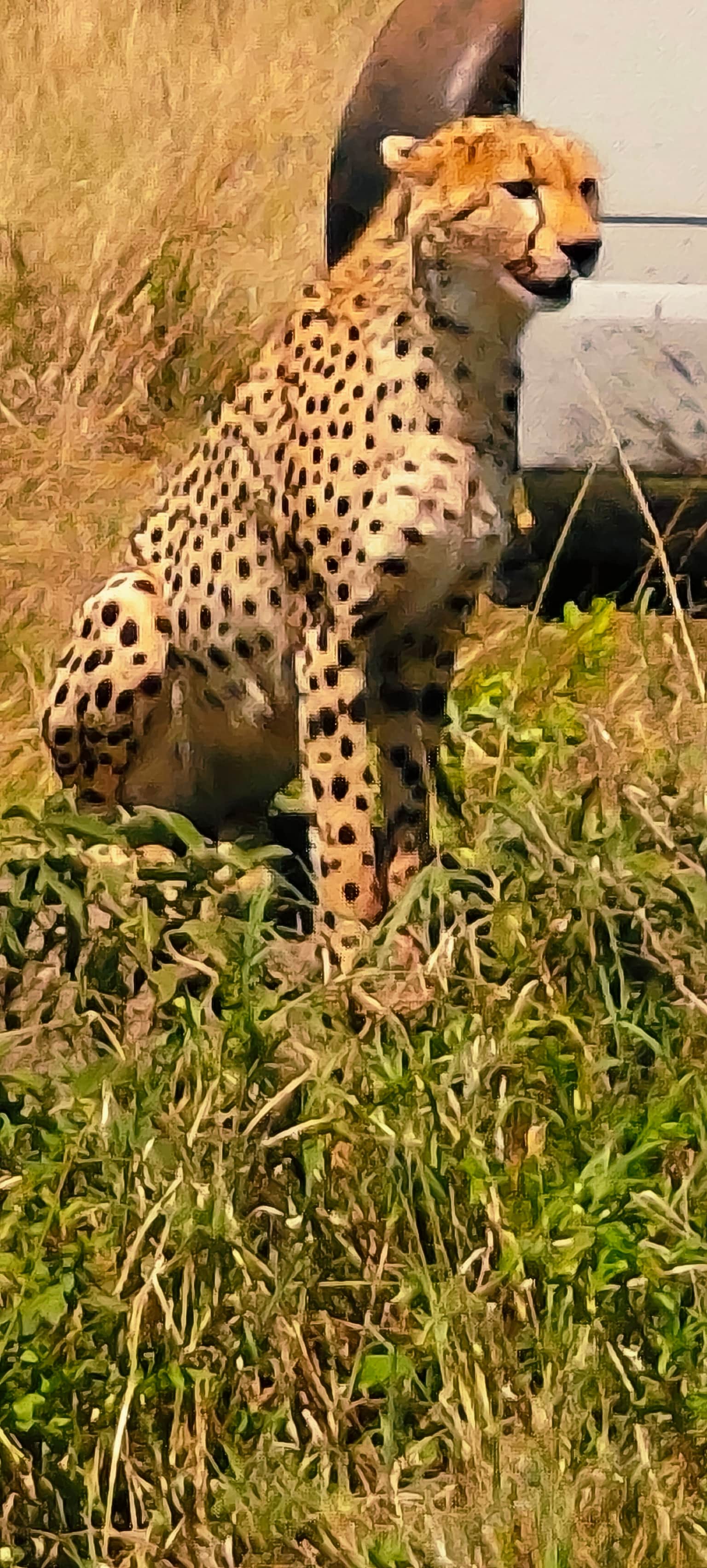 Photo from Avikal Mathur's trip