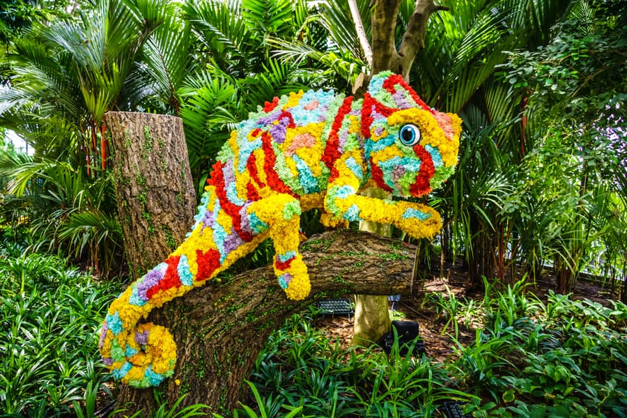 Canopy Park Tickets Image
