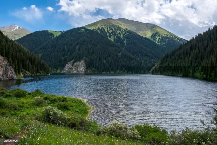 Day Trip to Charyn Canyon and Kolsai Lake From Almaty Image