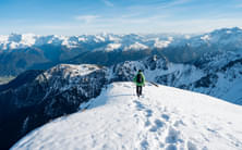 65243qo4qtvoy32pn1cd8wtonr9d shutterstock 1844223580