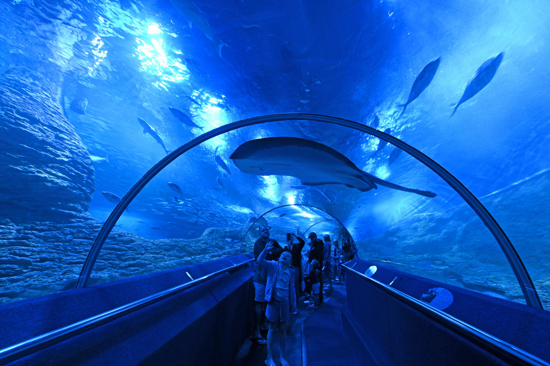 Underwater World Sea Life Aquarium-Perth