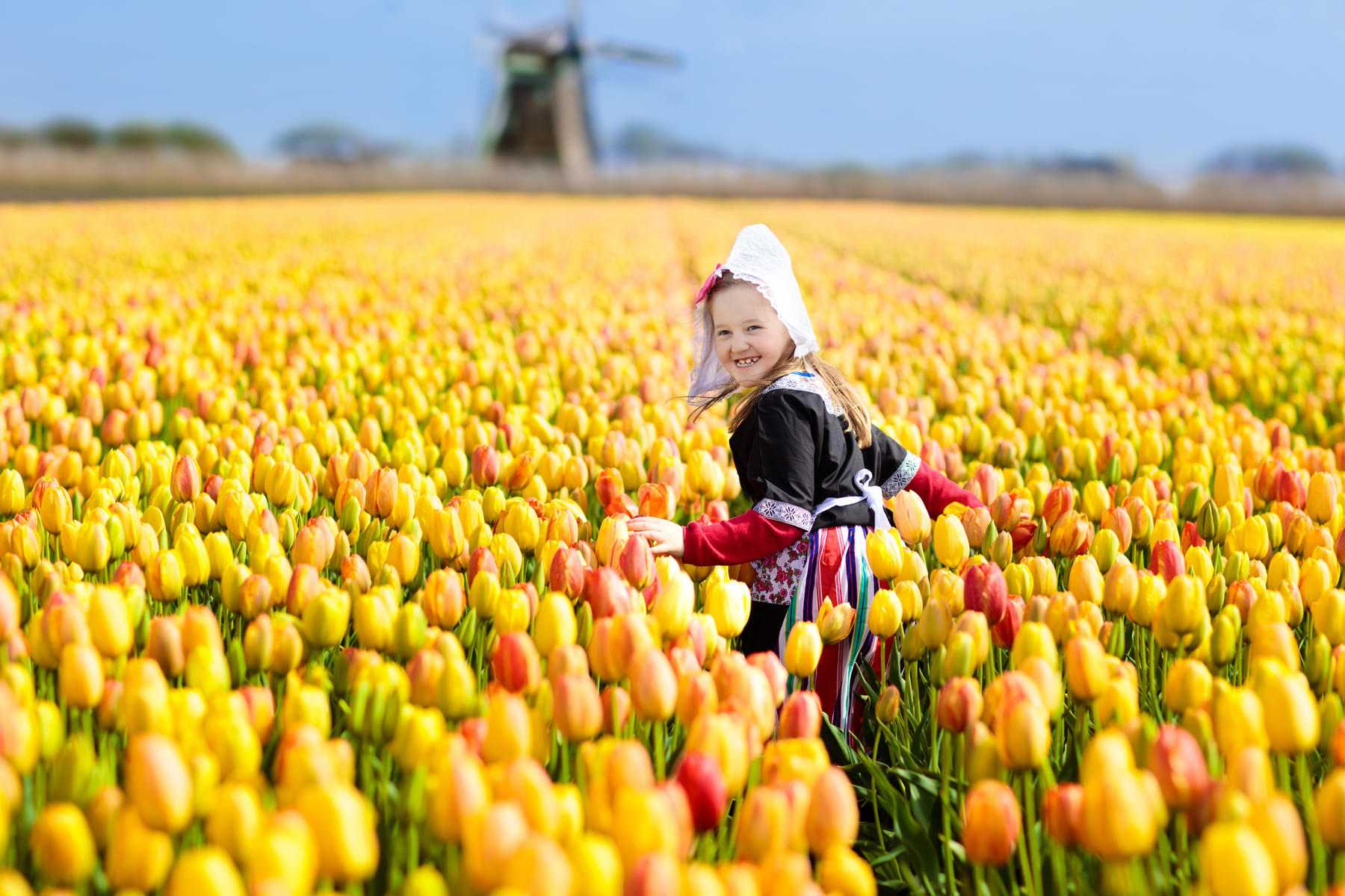 Watch your kids falling in love with the Dutch tulips