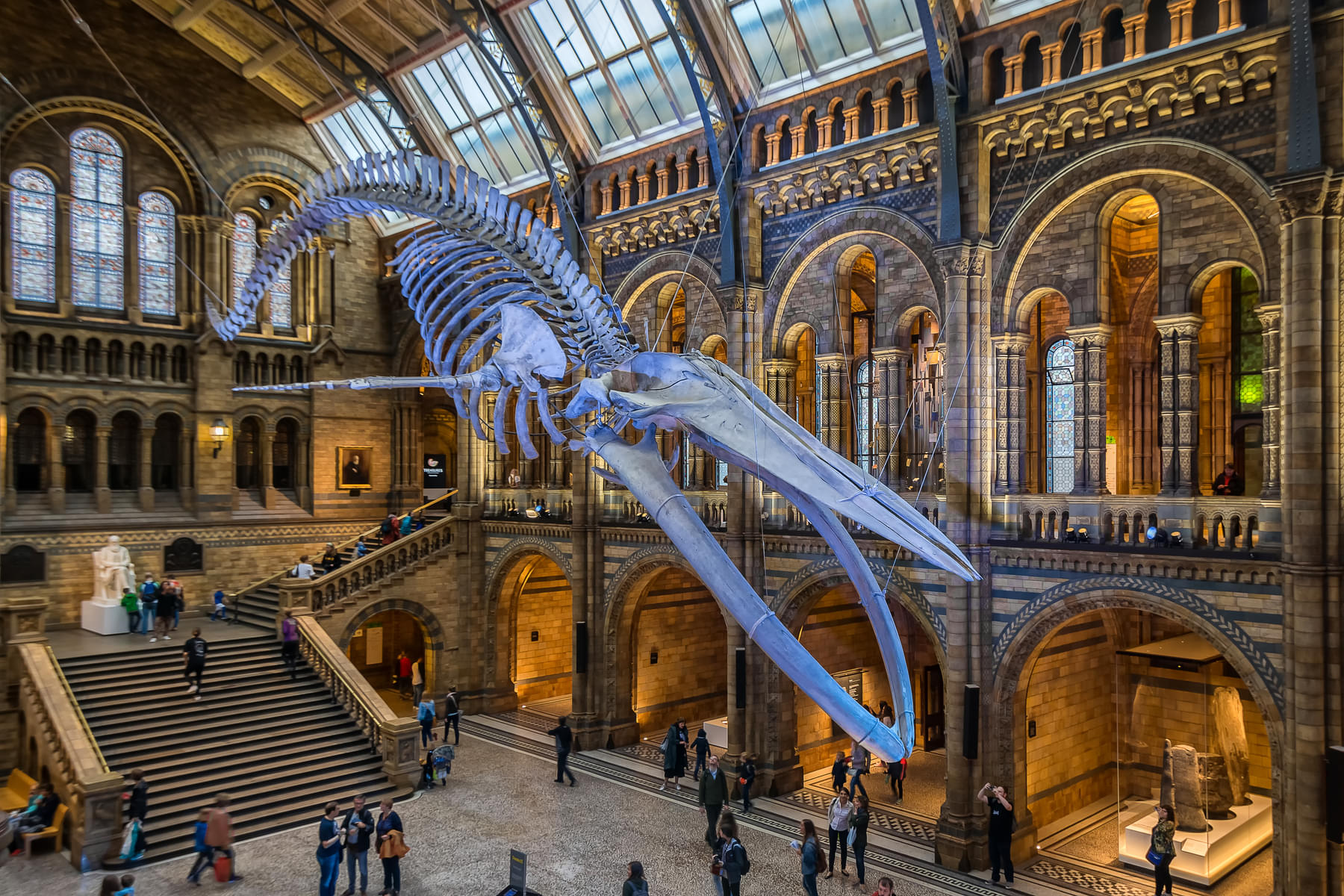 Get to know about dinosaurs in the impressive dinosaur gallery