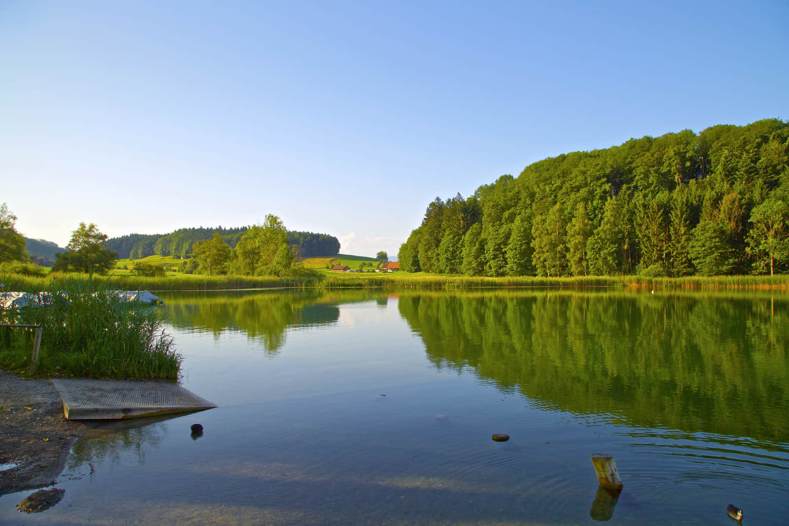 Türlersee, <em>Zurich</em>