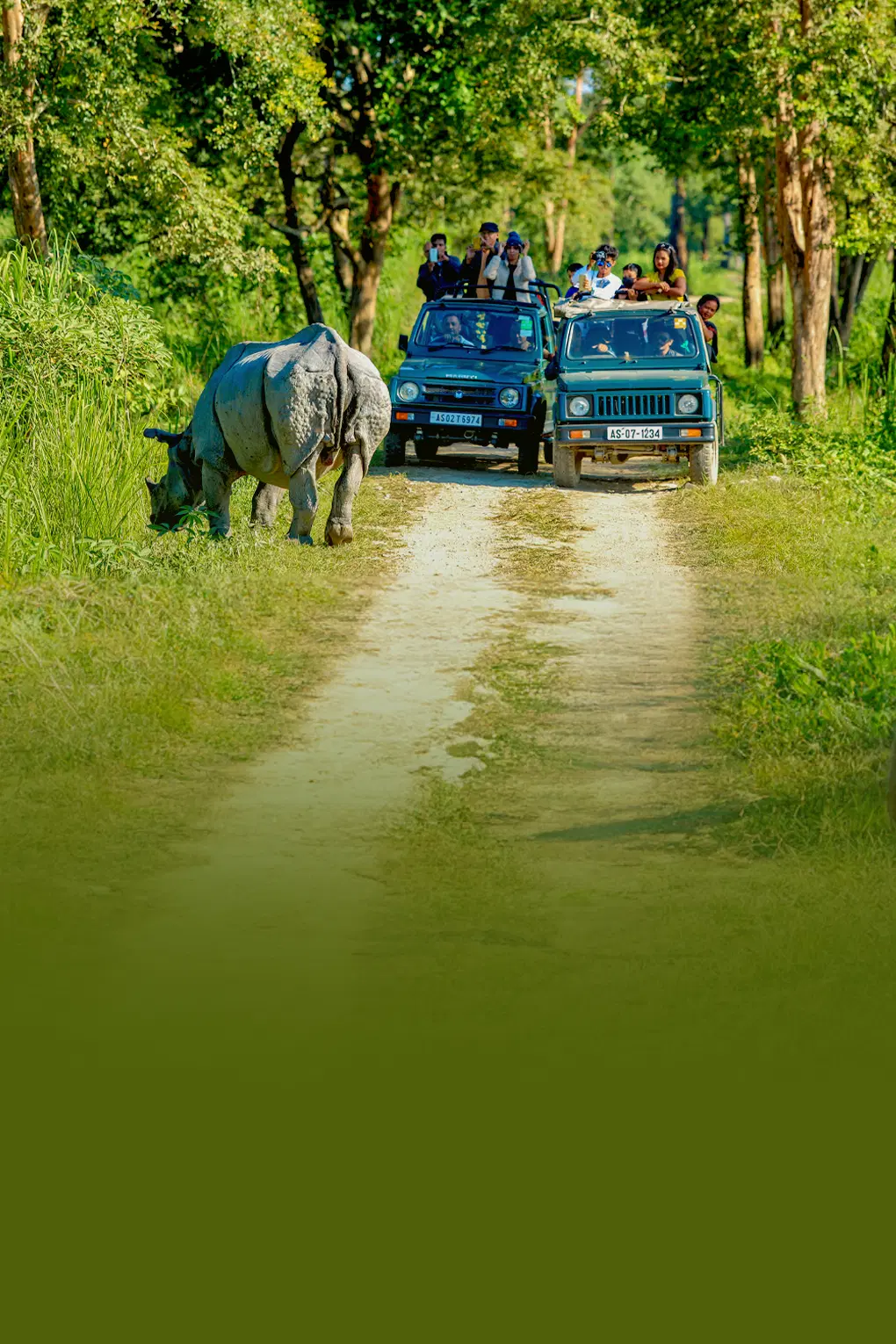 Best of Meghalaya | Group Tour Package