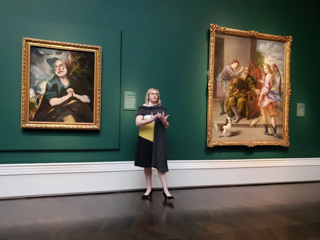 Goya Museum