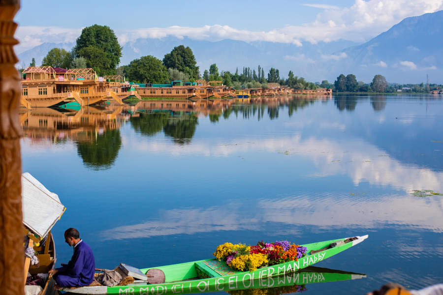 Shikara Ride on Dal Lake in Srinagar Image