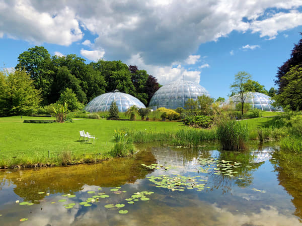 Zurich Botanical Garden