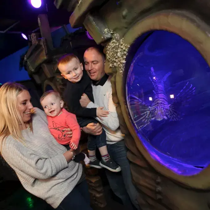 Highlights for Sea Life Blackpool