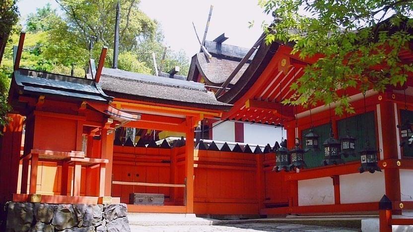 Visit the Kasuga Taisha Shrine