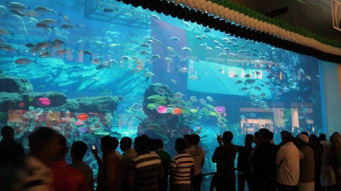 Dubai Aquarium