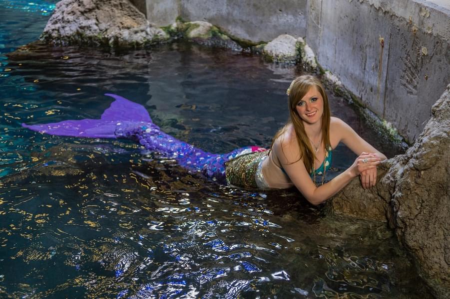 Enjoy underwater mermaid show with your family and friends