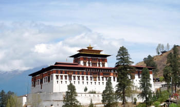 678k3olimhty8nv0jsea7f2zh0ek 1571215250 764582baf6f40581a6018c3c7c5cf9e2