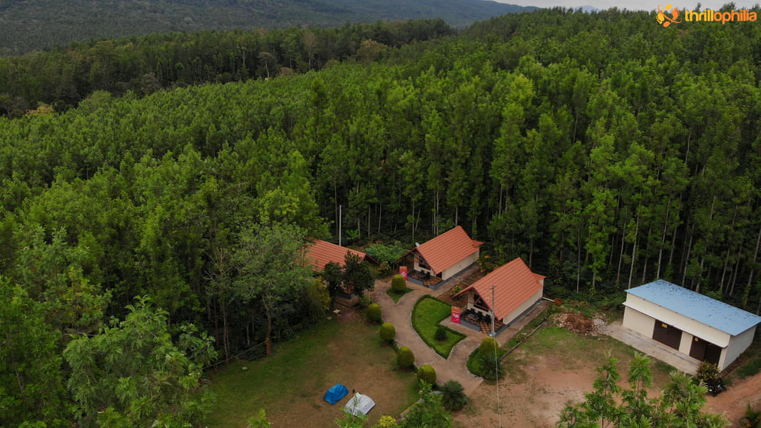 Homestay Nestled in Deep Forests of Chikmagalur Image