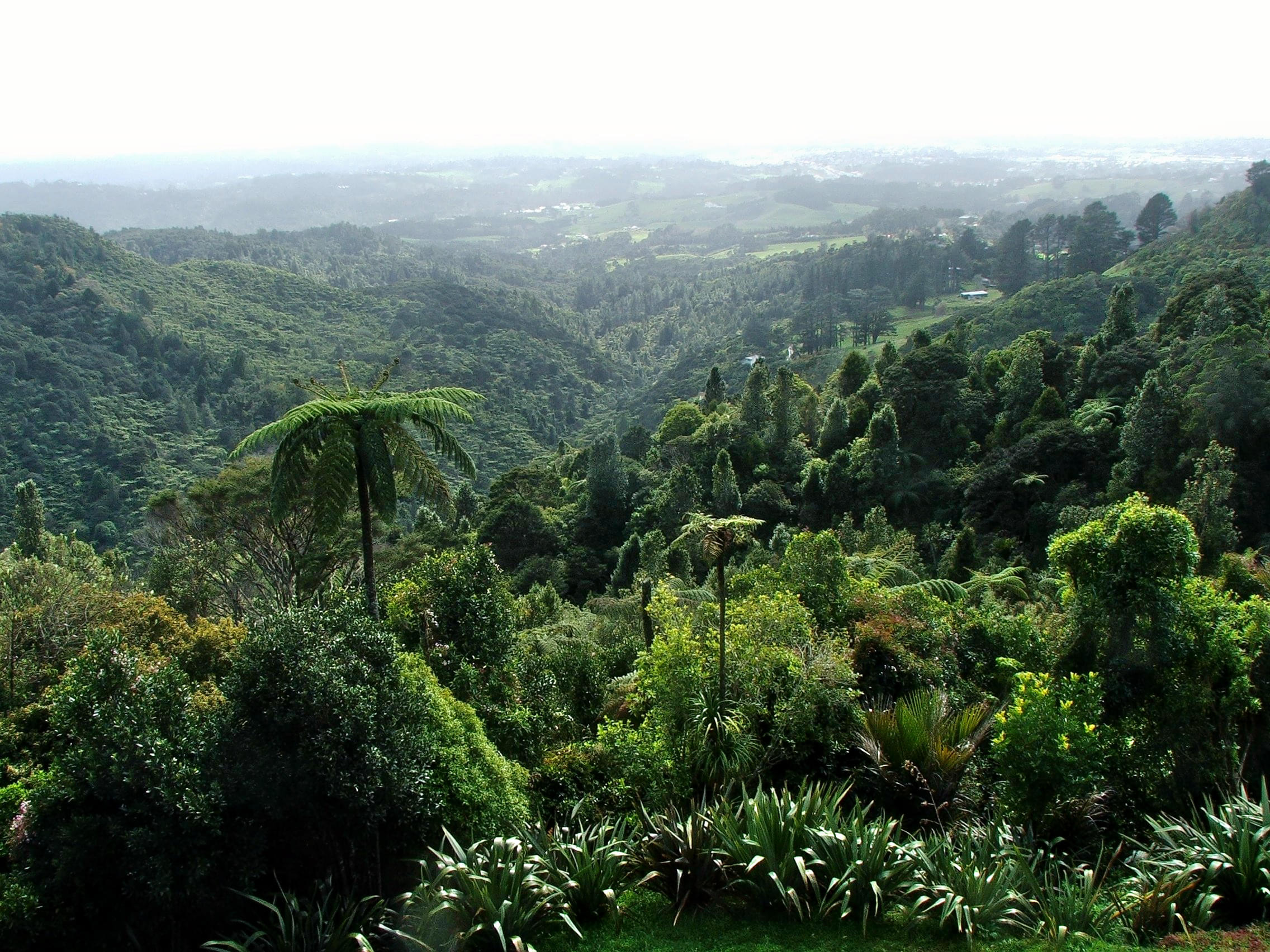 Waitakere Ranges Overview
