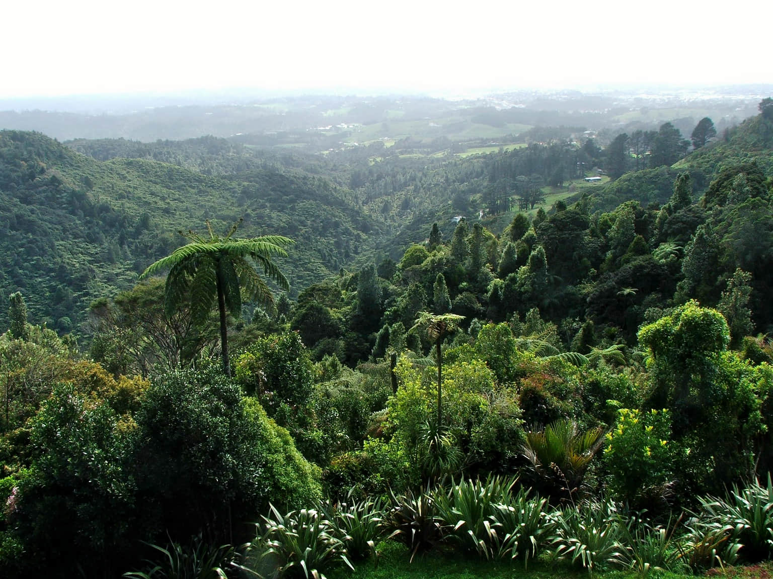 Waitakere Ranges