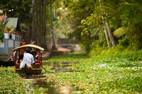 Activity & SightSeeing Image
