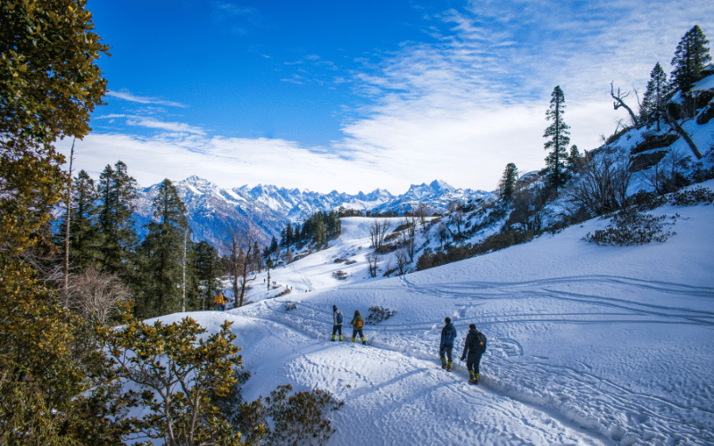 Shimla Manali From Chandigarh | FREE Snowboarding Adventure Image