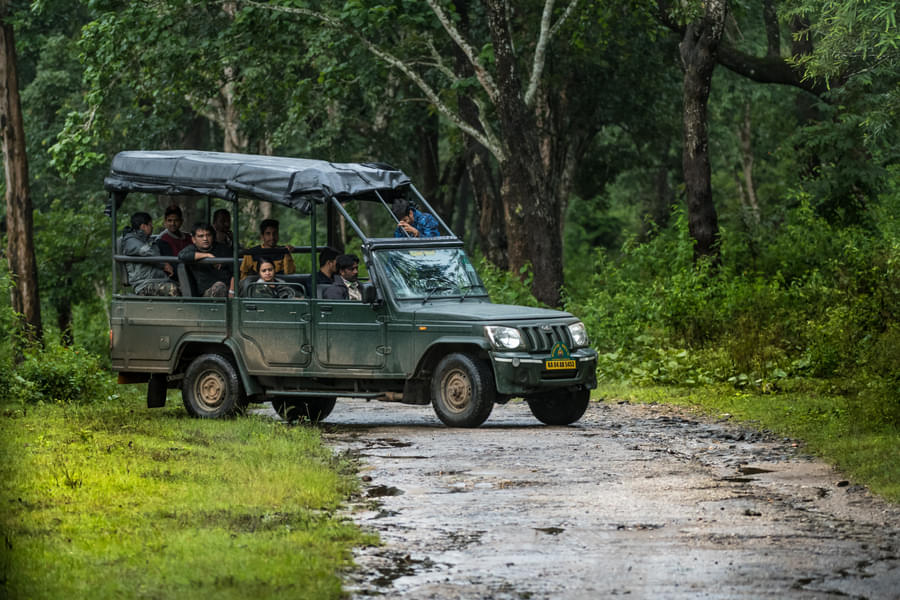 Kabini National Park Bus Safari Image