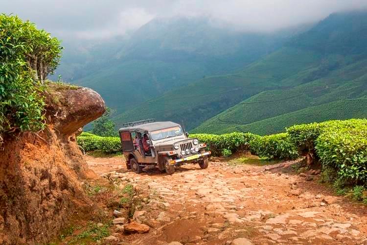 Jeep Safari In Munnar Image