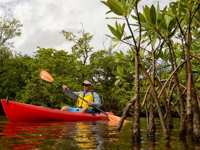 mangrove kayaking singapore